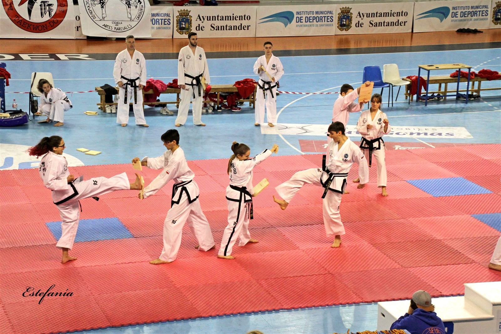 Taekwondo (217).jpg